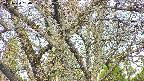 takano4-20250424060058.jpg