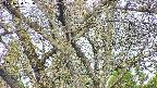 takano4-20250424061057.jpg