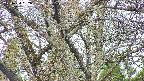 takano4-20250424062056.jpg