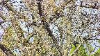 takano4-20250424073058.jpg