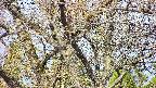 takano4-20250424075058.jpg