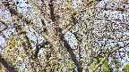 takano4-20250424085100.jpg