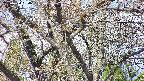 takano4-20250424094058.jpg