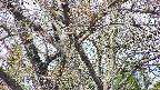 takano4-20250424101058.jpg