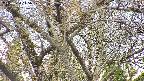 takano4-20250424115058.jpg