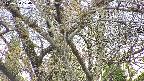 takano4-20250424120100.jpg