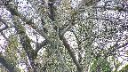 takano4-20250424121057.jpg