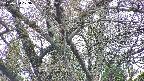 takano4-20250424123059.jpg