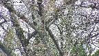 takano4-20250424124057.jpg