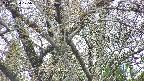 takano4-20250424125058.jpg