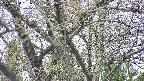 takano4-20250424131058.jpg