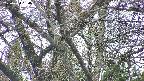 takano4-20250424134059.jpg