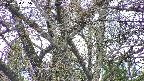 takano4-20250424135101.jpg