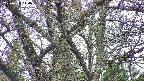 takano4-20250424140058.jpg