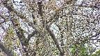 takano4-20250424144058.jpg