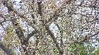 takano4-20250424150100.jpg