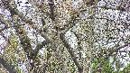 takano4-20250424160057.jpg