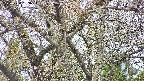takano4-20250424163056.jpg
