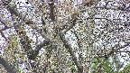 takano4-20250424173100.jpg