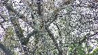 takano4-20250424174058.jpg