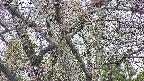takano4-20250424175100.jpg