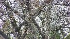 takano4-20250424180101.jpg