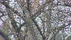 takano4-20250424182058.jpg