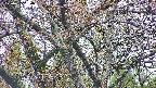takano4-20250425050057.jpg