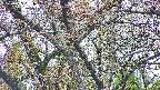 takano4-20250425051056.jpg