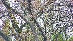 takano4-20250425052058.jpg