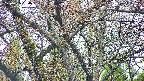 takano4-20250425054057.jpg