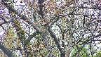takano4-20250425055057.jpg