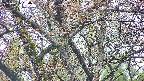 takano4-20250425060057.jpg