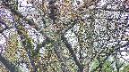 takano4-20250425061055.jpg