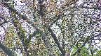 takano4-20250425062057.jpg