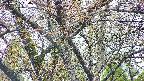 takano4-20250425064058.jpg