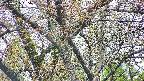 takano4-20250425065057.jpg