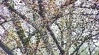takano4-20250425070057.jpg