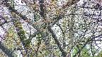 takano4-20250425071055.jpg