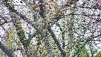 takano4-20250425073057.jpg