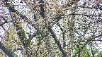 takano4-20250425074058.jpg