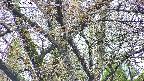 takano4-20250425075057.jpg