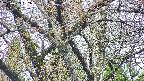 takano4-20250425082057.jpg