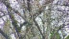 takano4-20250425095056.jpg