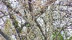 takano4-20250425102058.jpg