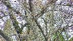 takano4-20250425104056.jpg