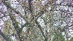 takano4-20250425112055.jpg