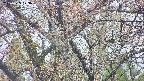 takano4-20250425123057.jpg