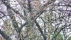 takano4-20250425125057.jpg