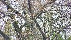 takano4-20250425130057.jpg
